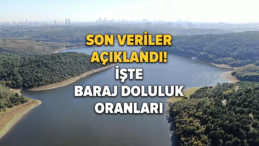 İstanbul Barajlarında Yağışların Etkisi: Doluluk Oranı Yüzde 62’ye Ulaştı