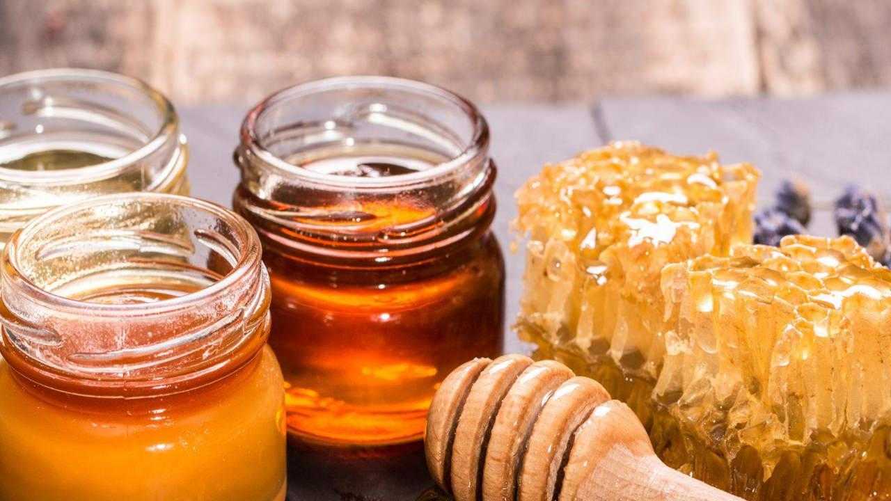 En Güçlü Bitkisel Antibiyotik Kaynakları: Enfeksiyon için Doğal Bitkisel Antibiyotikler! 2 en guclu bitkisel antibiyotik kaynaklari enfeksiyon icin dogal bitkisel antibiyotikler 2 aXVMgsEG