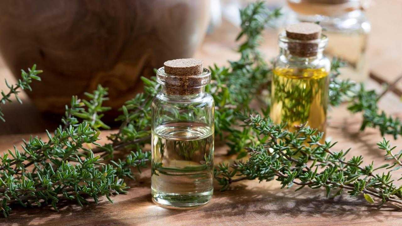 En Güçlü Bitkisel Antibiyotik Kaynakları: Enfeksiyon için Doğal Bitkisel Antibiyotikler! 6 en guclu bitkisel antibiyotik kaynaklari enfeksiyon icin dogal bitkisel antibiyotikler 6 PUV4WOlK