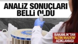 Altın Madeniyle İlgili Yapılan Analizlerle İlgili Bakanlık’tan Açıklama