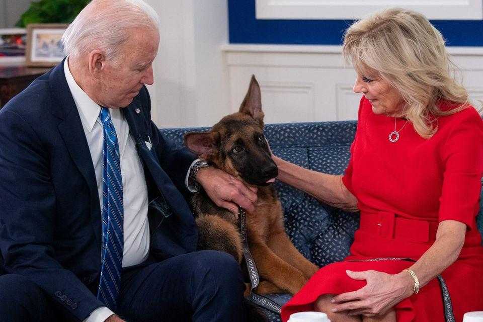 Biden’ın Köpeği, Gizli Servis Elemanlarını En Az 24 Kez Isırdı 1 bidenin kopegi gizli servis elemanlarini en az 24 kez isirdi 1 P1tTI2gT