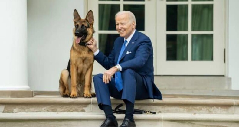 Biden’ın Köpeği, Gizli Servis Elemanlarını En Az 24 Kez Isırdı