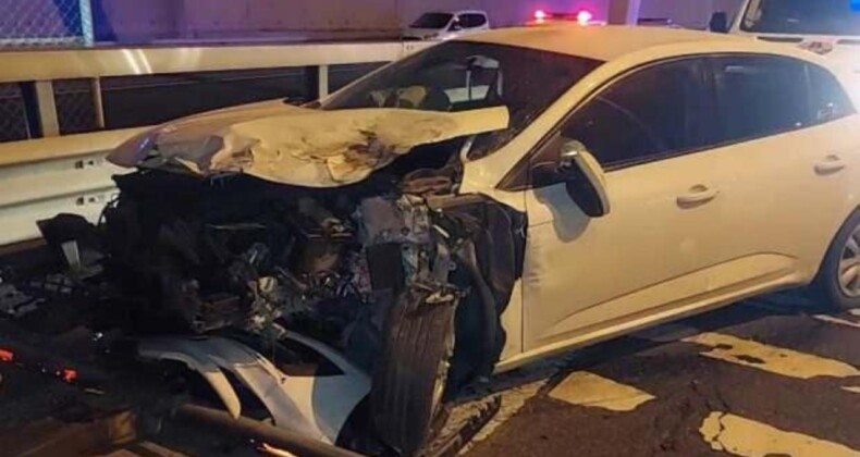 Sultanbeyli’de Sokak Köpeği Zincirleme Kazaya Neden Oldu: 12 Yaralı
