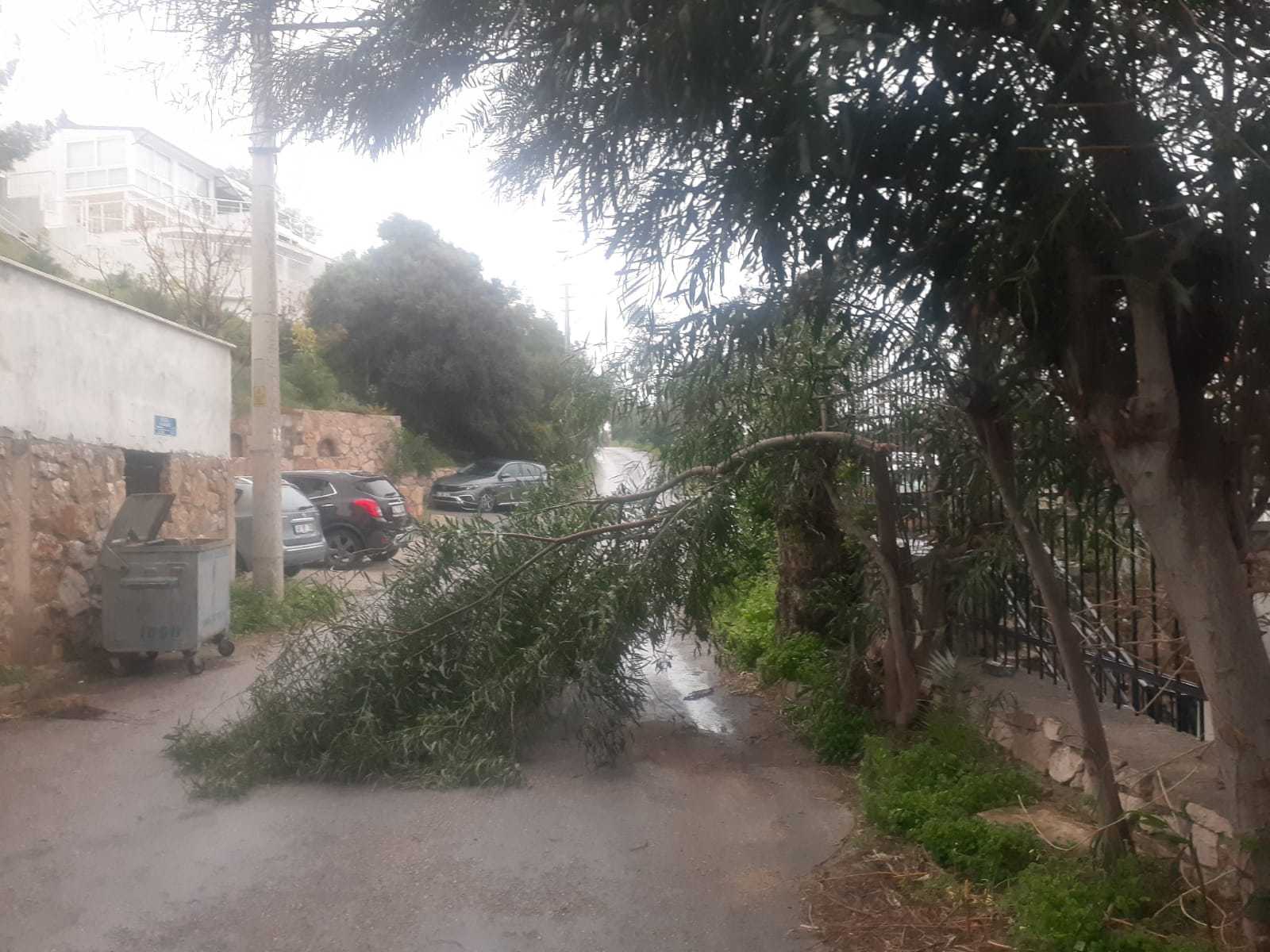 Muğla'da Kuvvetli Rüzgar ve Sağanak Hayatı Olumsuz Etkiliyor 3 AA 20240305 33891733 33891730 MUGLADA KUVVETLI RUZGAR VE SAGANAK ETKILI OLUYOR