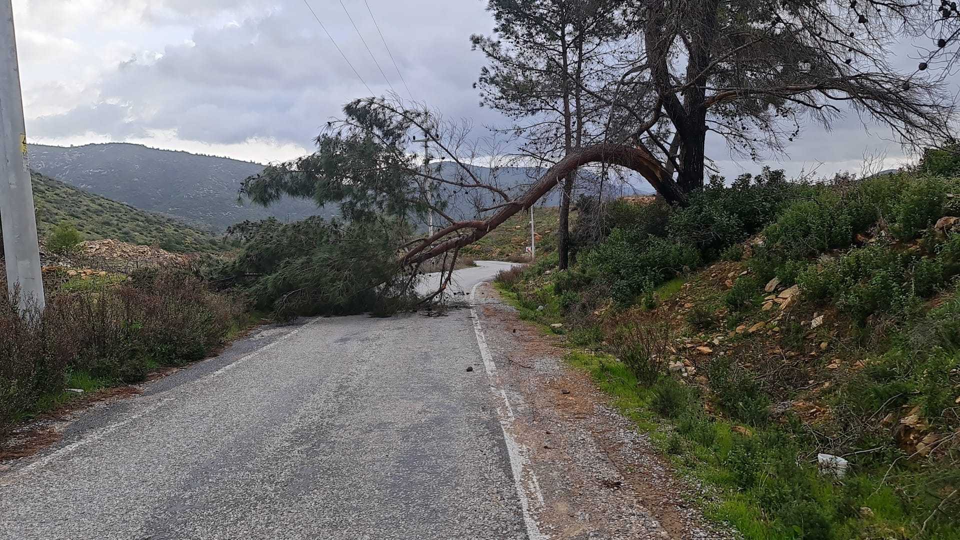 Muğla'da Kuvvetli Rüzgar ve Sağanak Hayatı Olumsuz Etkiliyor 1 AA 20240305 33891733 33891731 MUGLADA KUVVETLI RUZGAR VE SAGANAK ETKILI OLUYOR