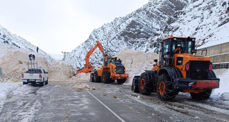 Ardahan-Artvin Kara Yolu Çığ Nedeniyle Kapandı