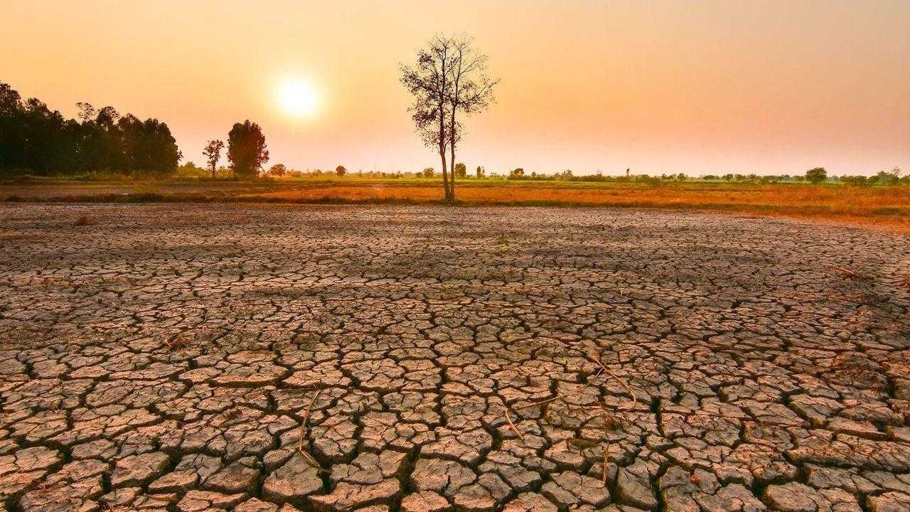 dunya meteoroloji orgutu kotu haberi verdi el nino etkisi olacak 1 CQmDIFqq
