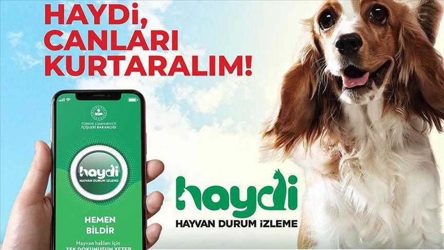 EGM'den, HAYDİ 'Hayvan Durum İzleme' Mobil Uygulaması 1 egmden haydi hayvan durum izleme mobil uygulamasi 1 zKMGLdDh