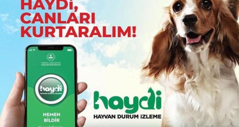 EGM’den, HAYDİ ‘Hayvan Durum İzleme’ Mobil Uygulaması