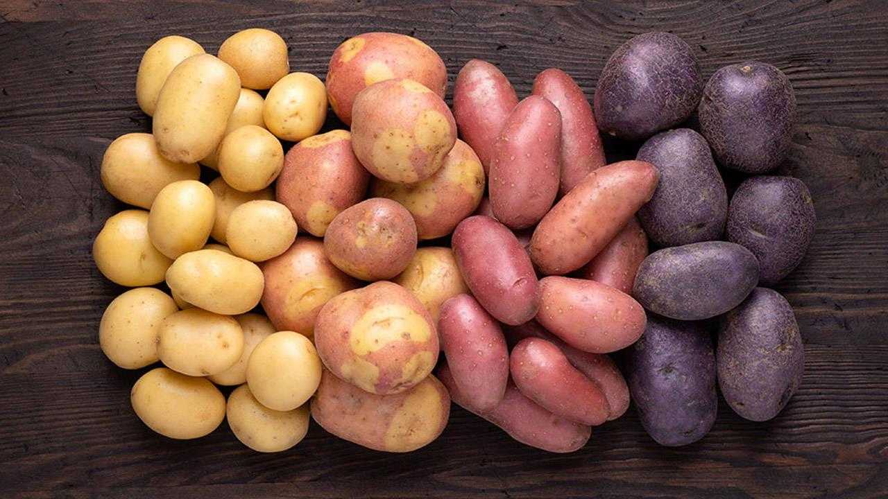 Geçmek Bilmeyen Baş Ağrısına Ne İyi Gelir? Baş Ağrısı Nasıl Geçer? 4 gecmek bilmeyen bas agrisina ne iyi gelir evde bas agrisina ne iyi gelir bas A6sGFgzY