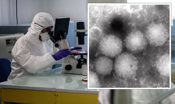 japan mystery unknown virus 1500651