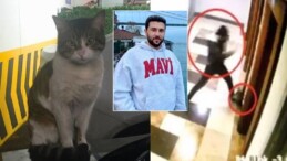 Kedi ‘Eros’ Davasında Savcılık Harekete Geçti: İtiraz Yükseltildi, “Ceza Yetersiz”