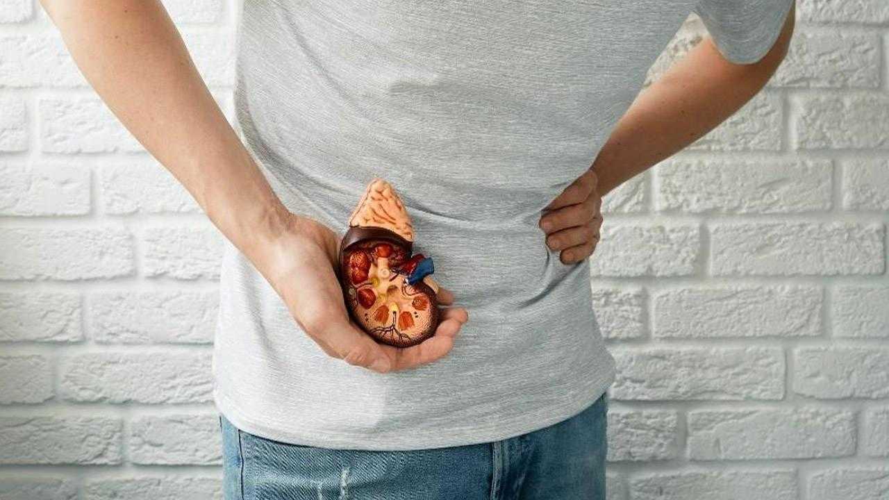 Ramazan Ayı’nda Böbreklere Dikkat! Eğer Bunları Yapmazsanız Böbrek Sağlığınız Tehlikede! 4 ramazan ayinda bobreklere dikkat eger bunlari yapmazsaniz bobrek sagliginiz tehlikede 4 n96RlXT8