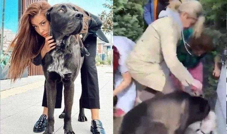 sosyal medya fenomeni banu parlak adliyeyi birbirine katti 1