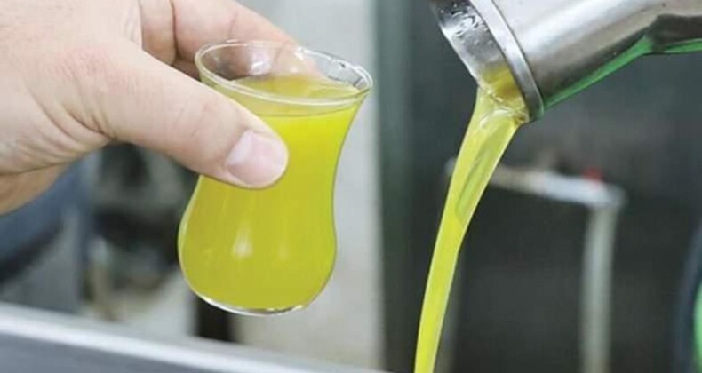 Ucuz Zeytinyağı Uyarısı: ‘Bu Fiyata Satmak Mümkün Değil’