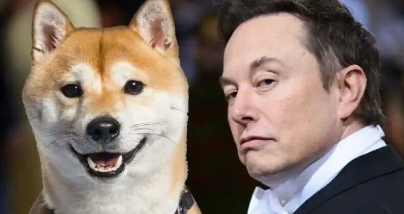 Elon Musk’tan Dogecoin ile Tesla Alımına Yeşil Işık