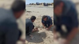 Yürek Yakan Görüntü! Gazzeli Babalar Kumlar Arasında Yiyecek Toplamaya Çalışıyor