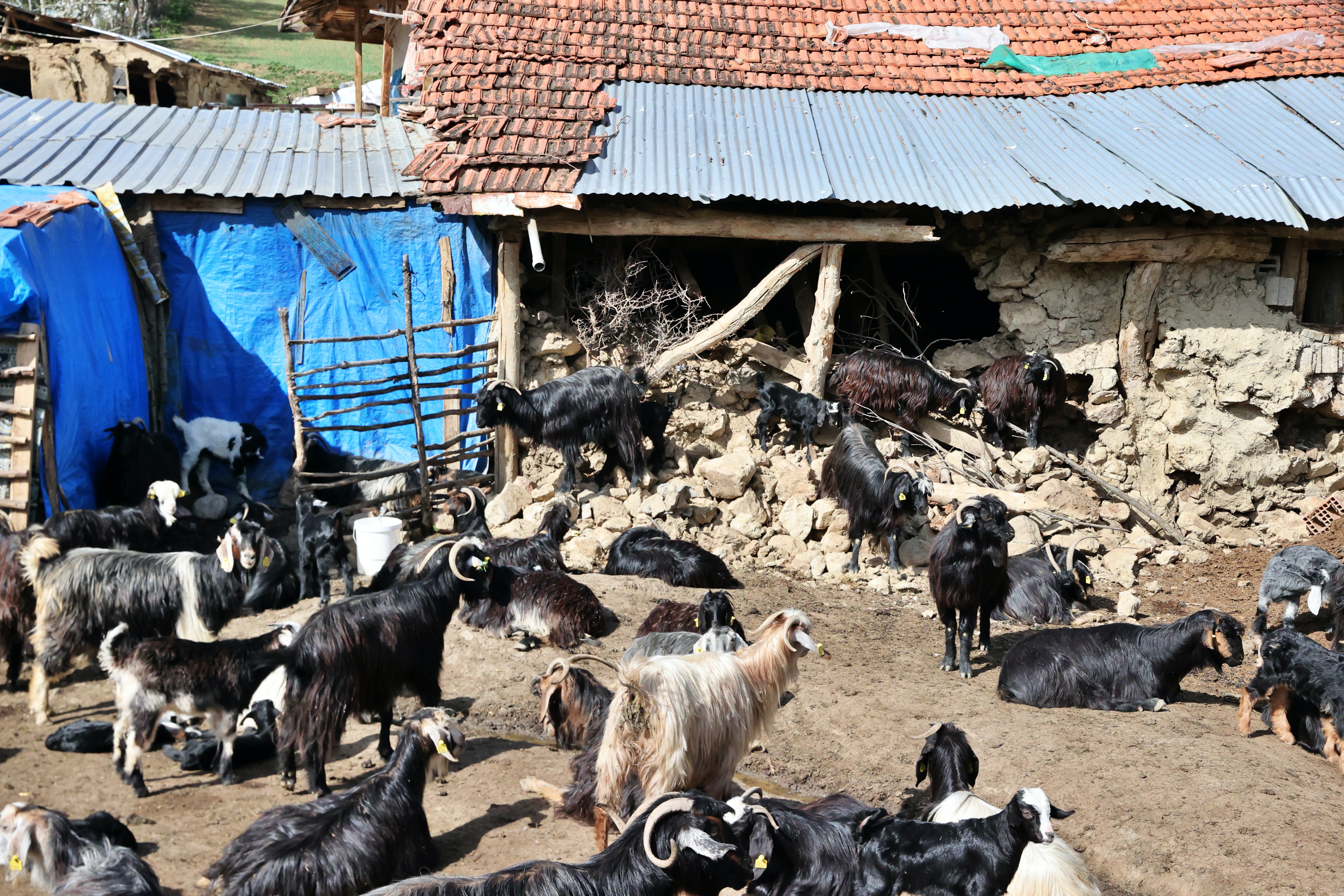 Tokat Sulusaray'da Deprem Cami ve Kerpiç Evleri Vurdu: 171 Yapı Hasar Gördü 6 AA 20240419 34310239 34310228 TOKAT SULUSARAY DEPREMINDE CAMILER VE BAZI BINALAR DA HASAR GORDU