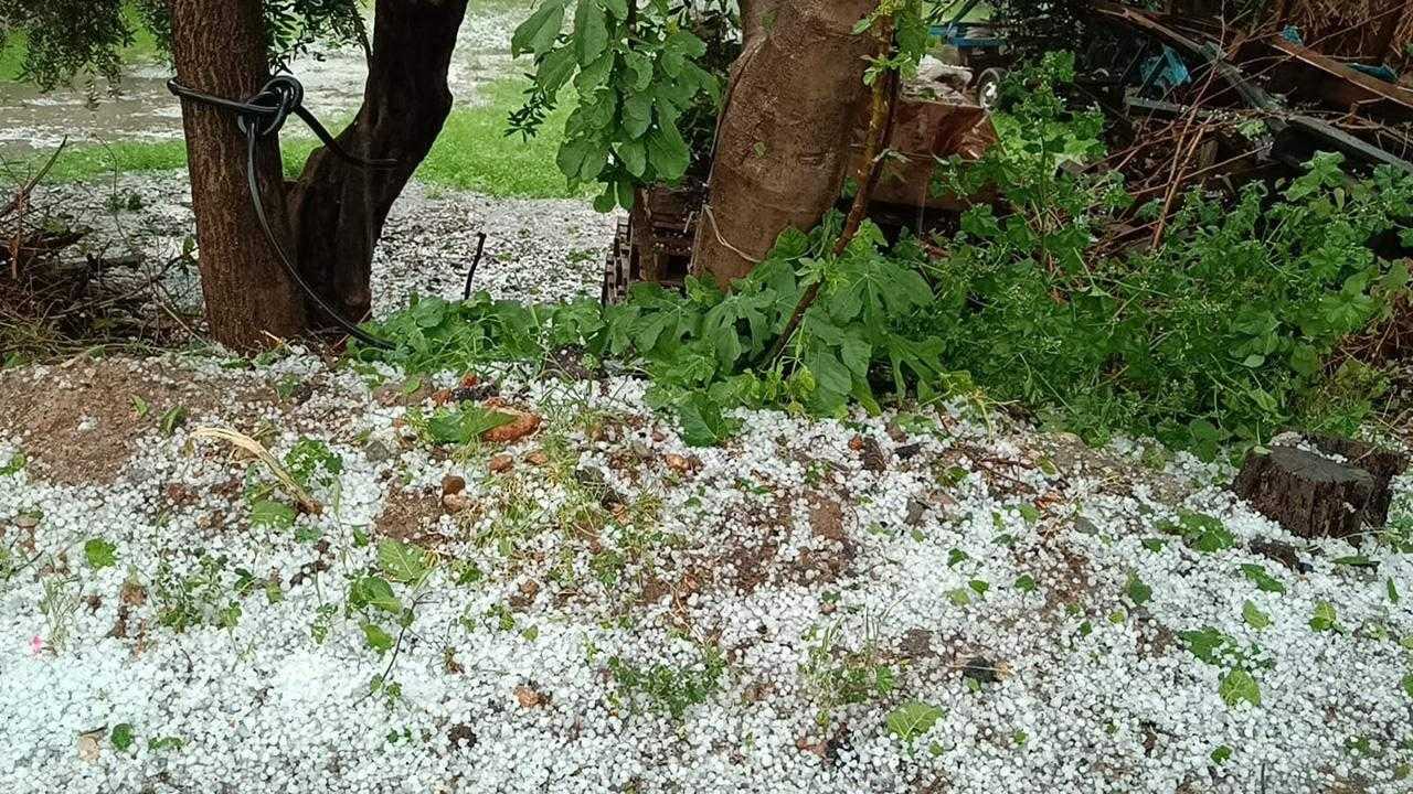 Adana Beyaza Büründü 1 adana beyaza burundu 1 9zpwAlsX