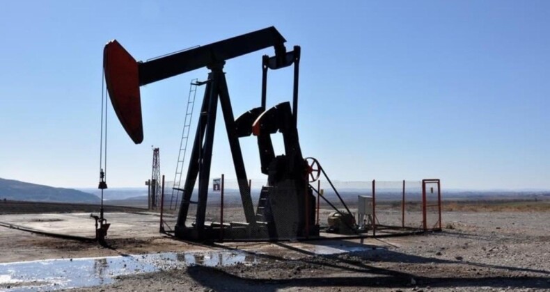 Diyarbakır Barosu Petrol Arama Çalışmalarının İptali İçin Dava Açtı