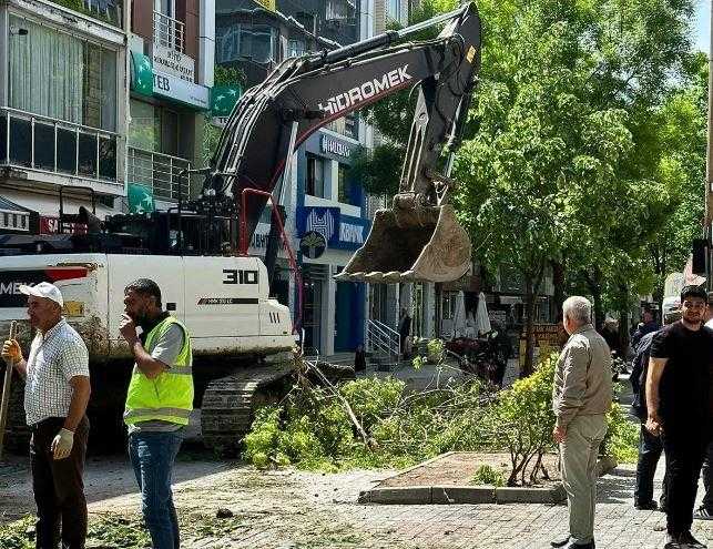 istanbulda agac katliami esnaf ve vatandas tepki gosterdi 3 3WhXXBaG