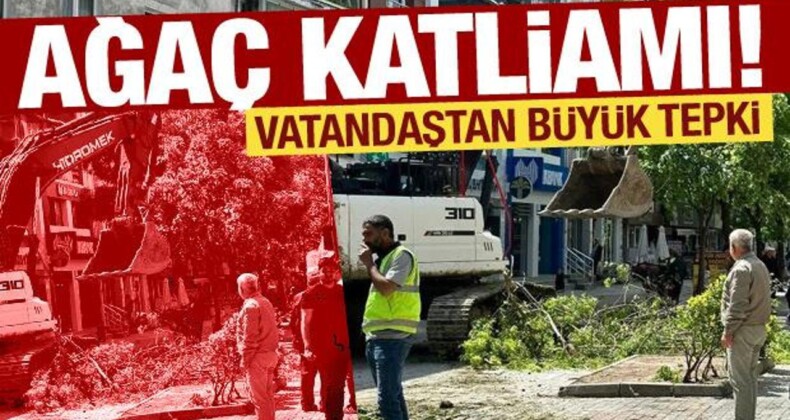 İstanbul’da Ağaç katliamı! Esnaf ve Vatandaş Tepki Gösterdi