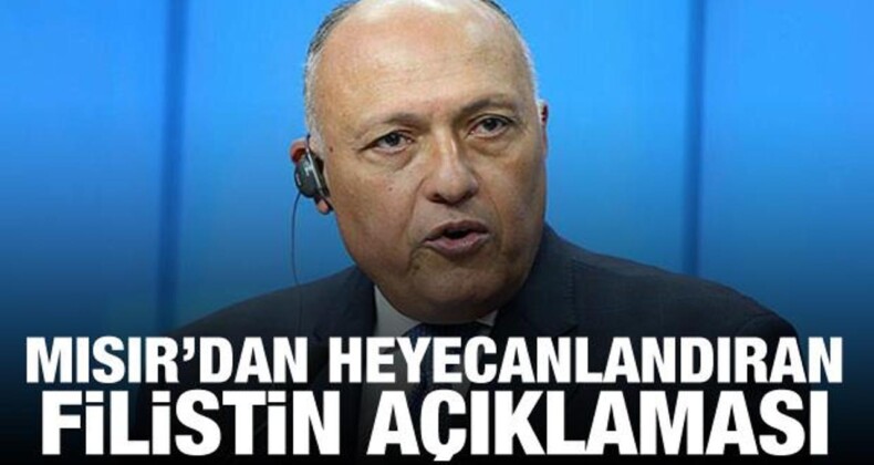 Mısır: Arap Dünyasında Filistin için Hareketlilik Var