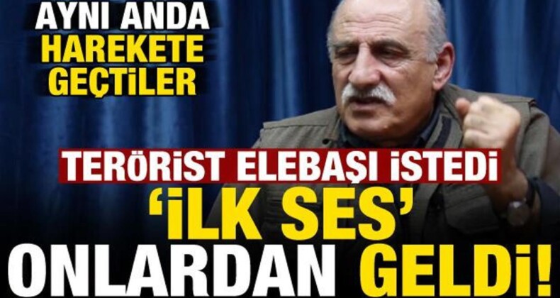 PKK Elebaşı İstedi, İlk Ses Onlardan Geldi!