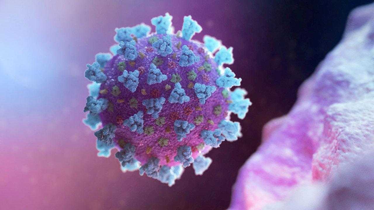 Yeni Virüs JN.1 En Çok Kalbi Hedef Alıyor! Yeni Varyant Virüsün Belirtileri Nelerdir? 1 yeni virus en cok kalbi hedef aliyor yeni varyant virusun belirtileri nelerdir 1 f85VN6uA