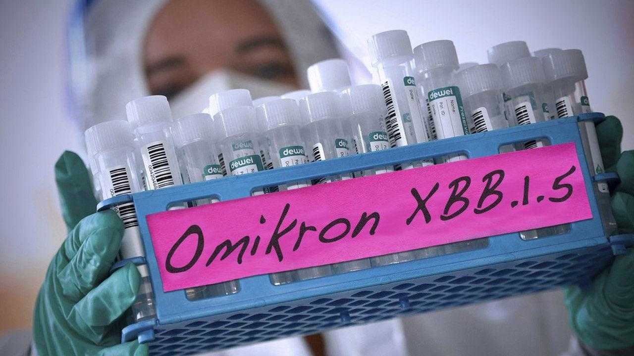 Yeni Virüs JN.1 En Çok Kalbi Hedef Alıyor! Yeni Varyant Virüsün Belirtileri Nelerdir? 2 yeni virus en cok kalbi hedef aliyor yeni varyant virusun belirtileri nelerdir 2