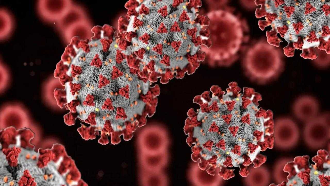 Yeni Virüs JN.1 En Çok Kalbi Hedef Alıyor! Yeni Varyant Virüsün Belirtileri Nelerdir? 3 yeni virus en cok kalbi hedef aliyor yeni varyant virusun belirtileri nelerdir 3 1JpglzSq