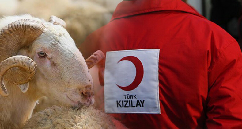 Kızılay 2024 Kurban Bedellerini Açıkladı