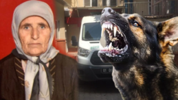 Adana’da Köpek Saldırısında Yaşlı Kadın Hayatını Kaybetti