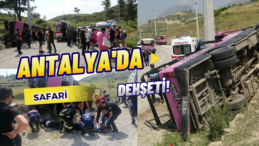 Manavgat’ta Safari Faciası: 12’si Turist 15 Kişi Yaralandı