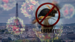 Paris’te Lassa Ateşi Alarmı: Askerde Tehlikeli Virüs Tespit Edildi