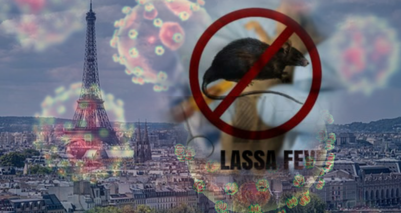 Paris’te Lassa Ateşi Alarmı: Askerde Tehlikeli Virüs Tespit Edildi