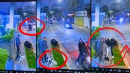Kahraman Köpek, Sahibini Gasp Girişiminden Kurtardı