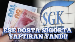 Dikkat! Sahte Sigortaya Ağır Yaptırımlar Geliyor