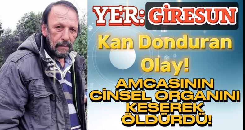 Giresun’da Dehşet: Amcasını Bıçaklayarak Öldürdü, Cinsel Organını Kesti