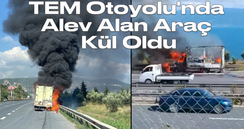 Kocaeli TEM Otoyolu’nda Araç Yangını! Araç Kül Oldu