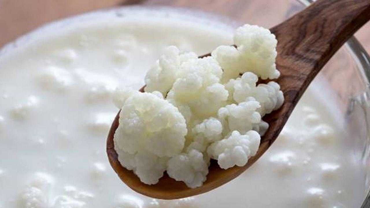 Aç Karnına Veya Yatmadan Önce Kefir İçilir mi? Her Gün Kefir İçmenin Faydaları! 1 ac karnina veya yatmadan once kefir icilir mi her gun kefir icmenin faydalari 1 sGISBJgz