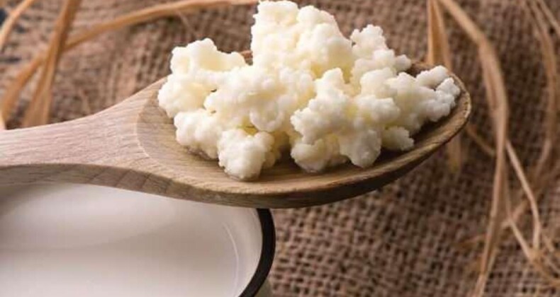 Aç Karnına Veya Yatmadan Önce Kefir İçilir mi? Her Gün Kefir İçmenin Faydaları!