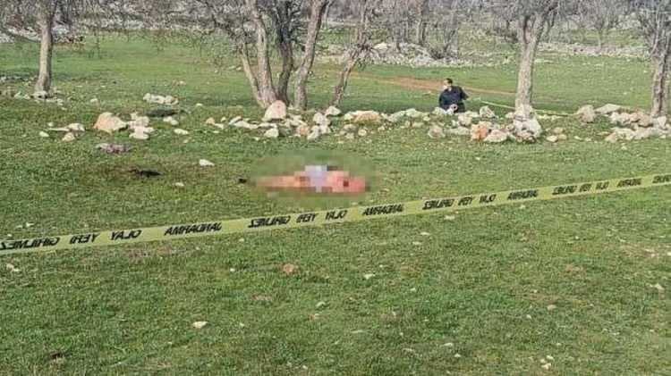 basibos kopek sorunu icin cagrida bulundu meselenin cozumu acisiz itlaf 1 jE1UbXTI