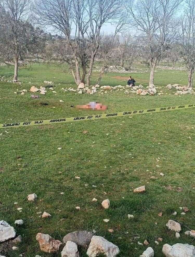 basibos kopek sorunu icin cagrida bulundu meselenin cozumu acisiz itlaf 2 4ZFujNiH