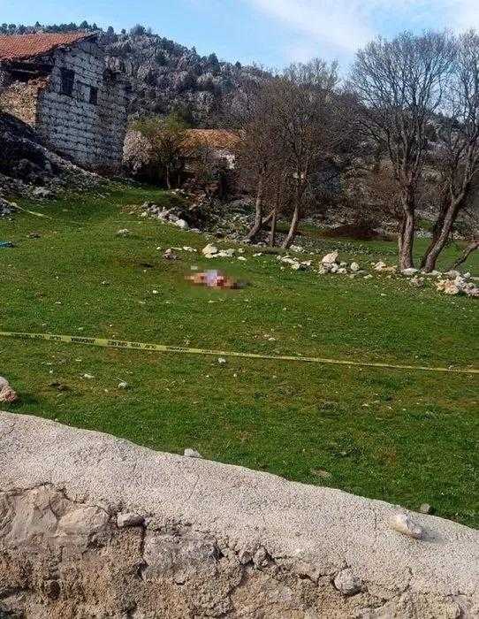basibos kopek sorunu icin cagrida bulundu meselenin cozumu acisiz itlaf 3