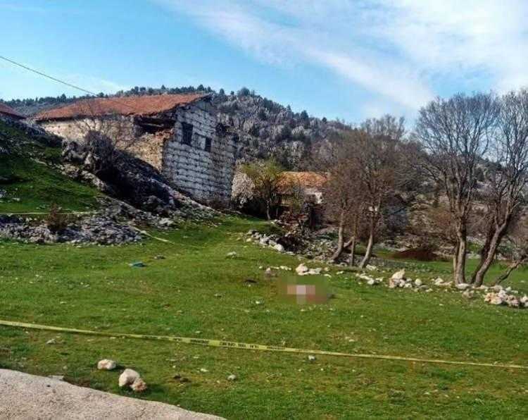 basibos kopek sorunu icin cagrida bulundu meselenin cozumu acisiz itlaf 4 Nf6888yp
