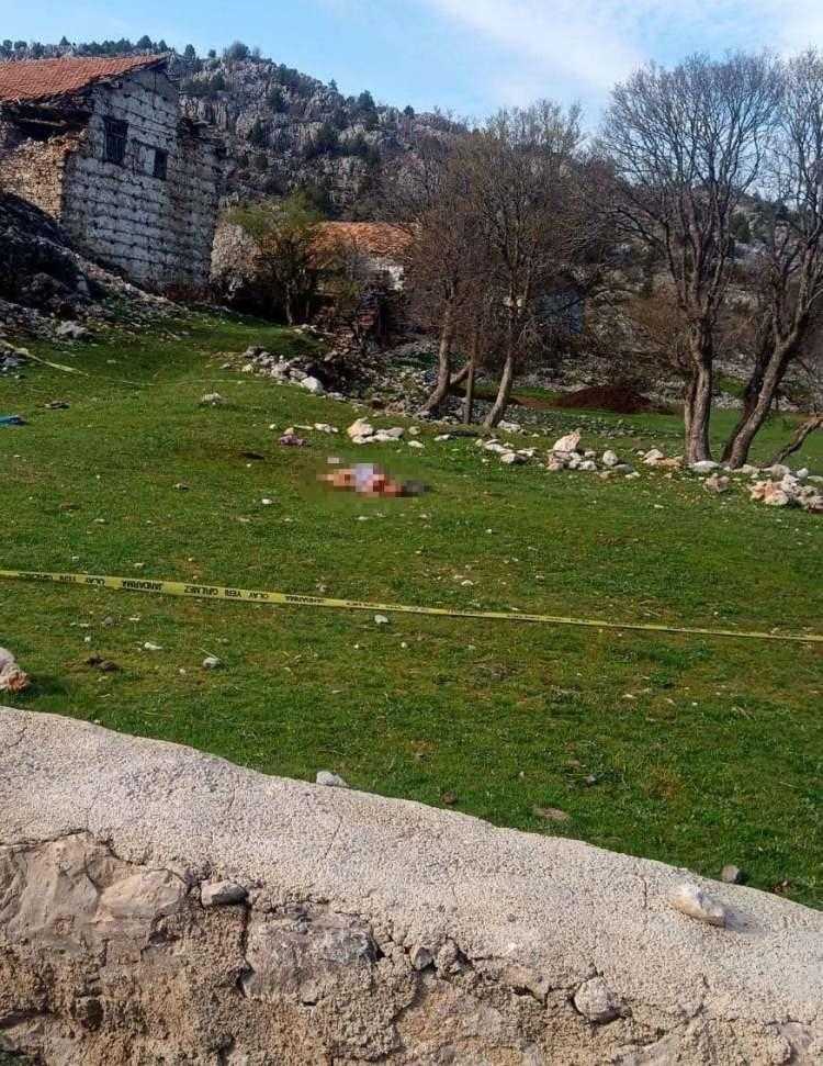 basibos kopek sorunu icin cagrida bulundu meselenin cozumu acisiz itlaf 5 sb5W8VOh