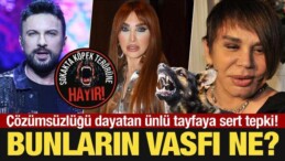 Çözümsüzlüğü Dayatan Ünlü Tayfaya Sert Tepki: Bunların Vasfı Ne?