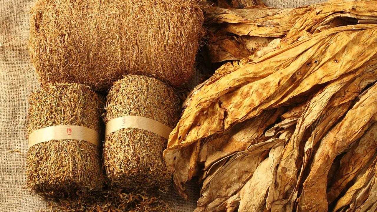 Elektronik Sigaralar Masum Değil! Ölüme Sebebiyet Veriyor! 2 elektronik sigaralar masum degil olume sebebiyet veriyor 2 ycmBtEVU