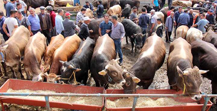 Bakan Yumaklı’dan ‘Kurbanlık Fiyatları’ Açıklaması!